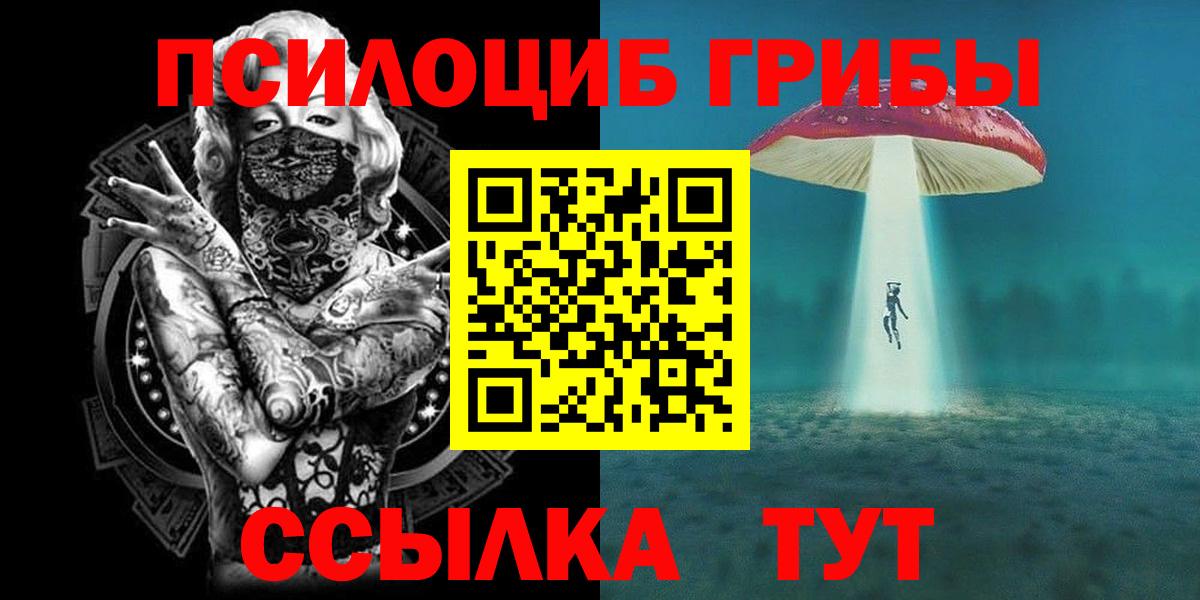 Котовск  Псилоцибиновые грибы GOLDEN TEACHER  Вход с VPN 