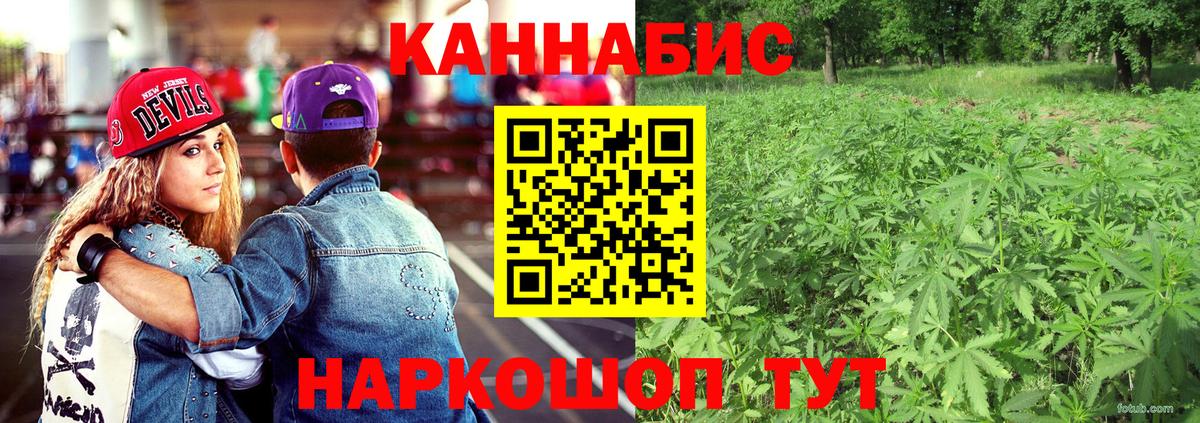 Конопля Ganja  Вход с VPN  Бошки марихуана семена  Котовск  Конопля планчик  Каннабис THC 21% 